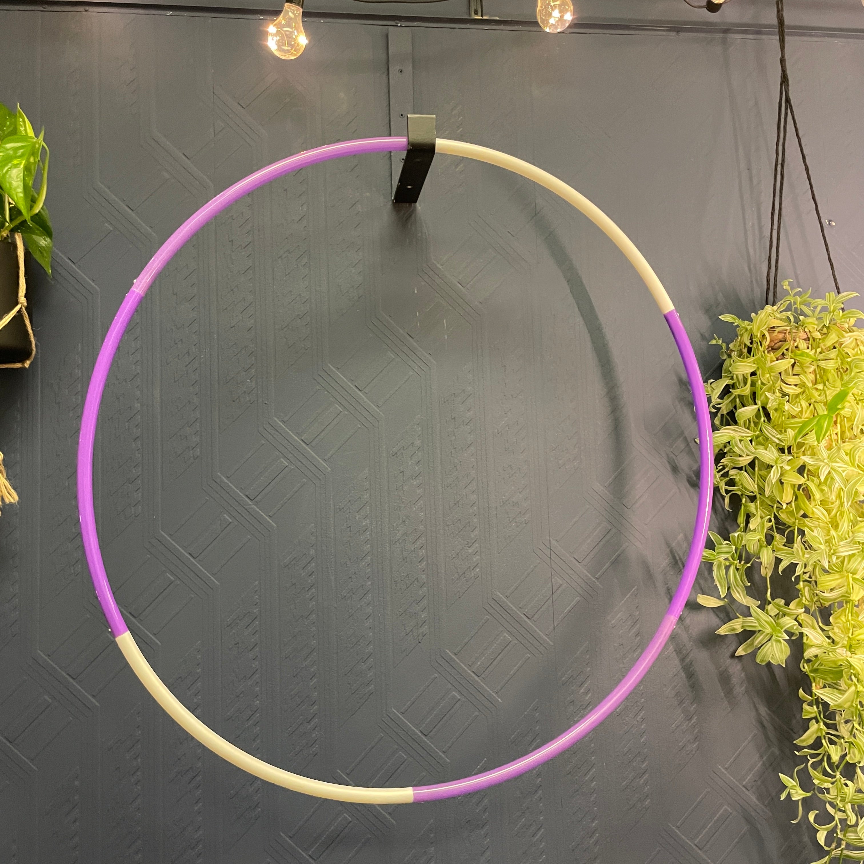 Gold's gym 2 lb fitness hoop best sale